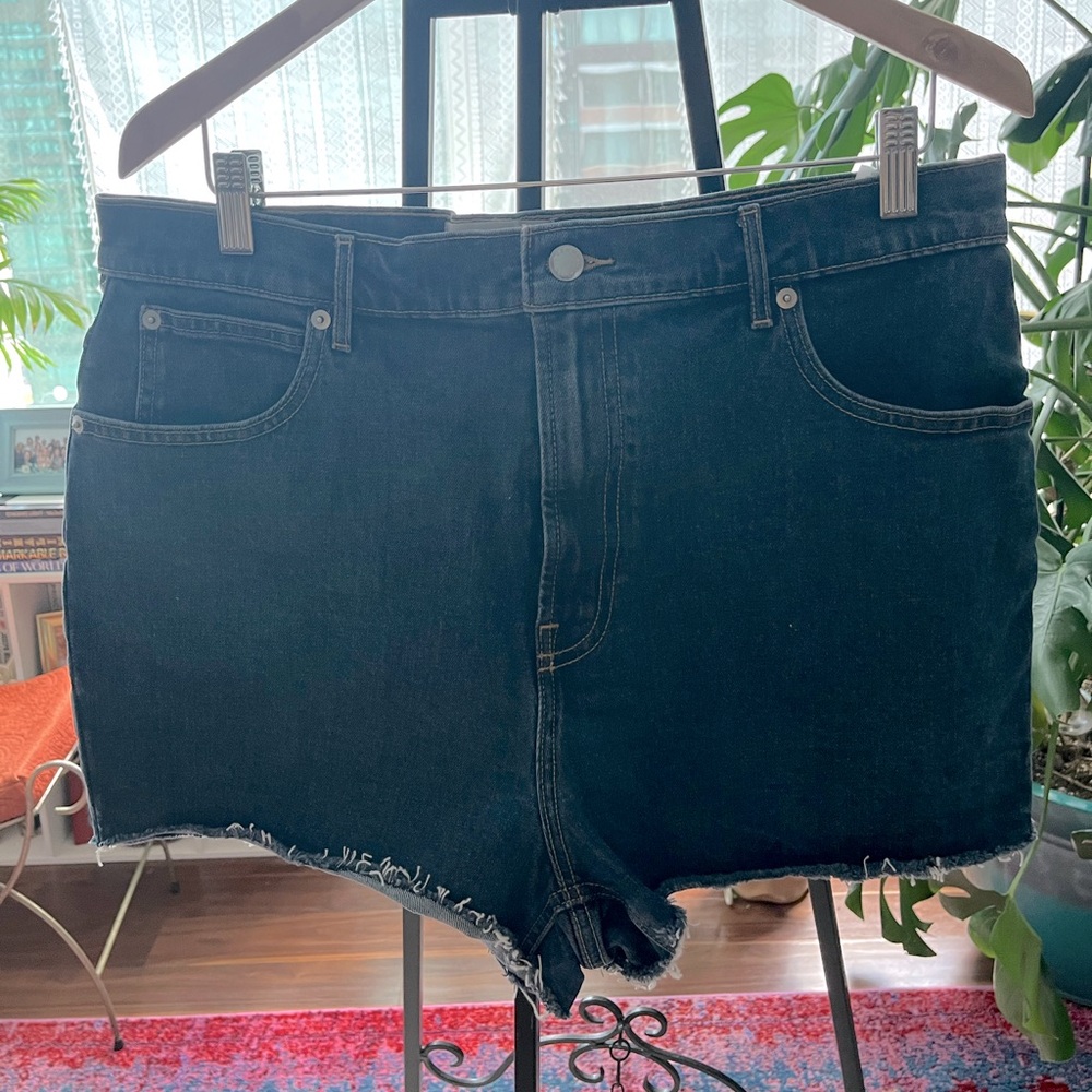 Everlane Denim Shorts